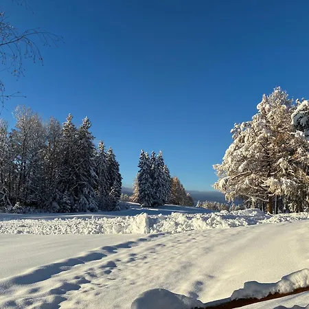 Apart Otel Caddies Club Crans-Montana