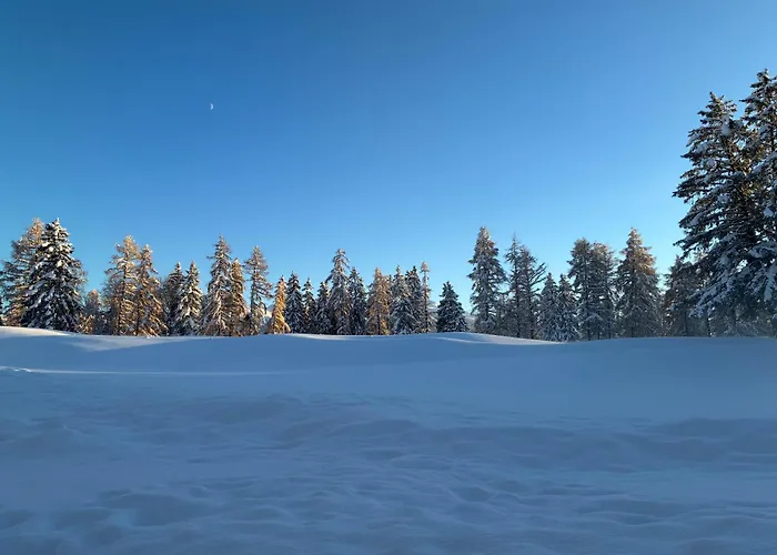 Caddies Club Apart Otel