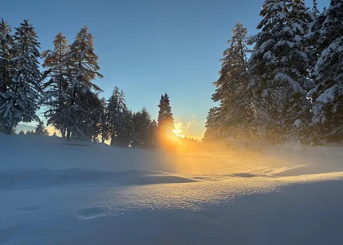 Apart Otel Caddies Club Crans-Montana