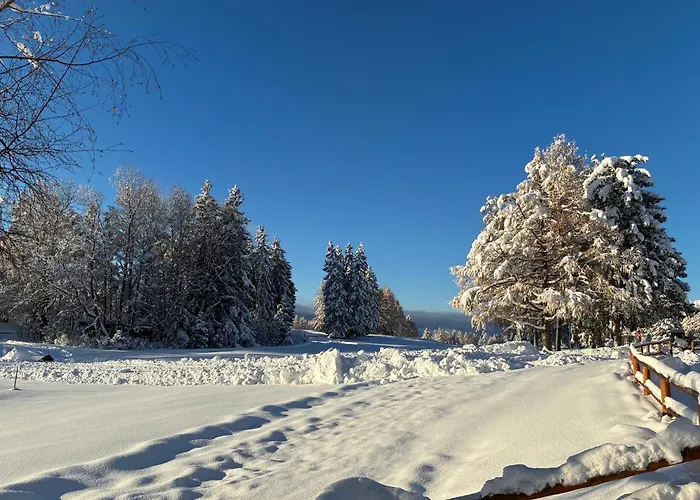 Apart Otel Caddies Club Crans-Montana